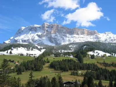 a mountain with snow on top of a green field at Garni Flurida in Badia