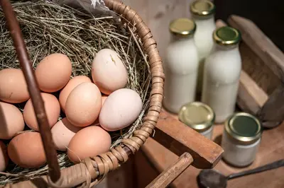 a basket full of eggs and bottles of milk at Gschlunerhof in Castelrotto