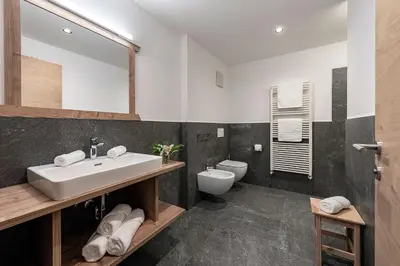 a bathroom with a sink and a toilet at Gschlunerhof in Castelrotto