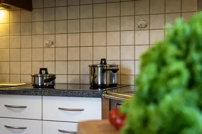 a kitchen with two pots on a stove at Ciasa MAEL Dolomites Apartments in La Valle