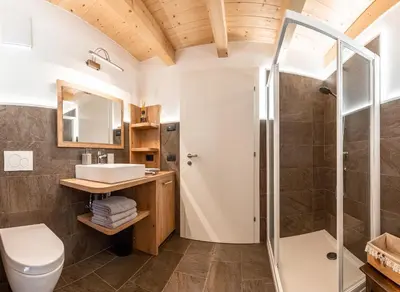a bathroom with a shower and a toilet and a sink at Ciasa Sas da le Doudesc in Vigo di Fassa