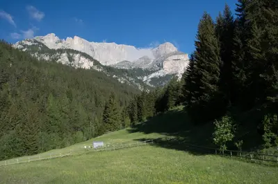 a field with trees and mountains in the background at Sass Pordoi in Mazzin