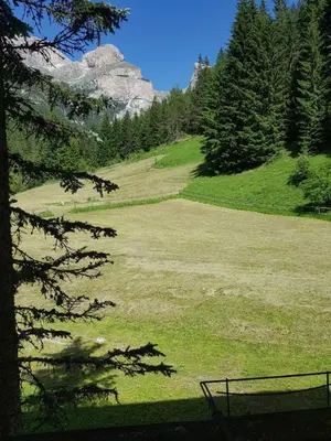 a field of grass with a mountain in the background at Sass Pordoi in Mazzin
