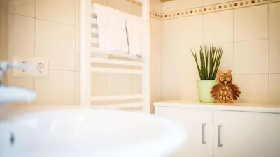 a bathroom with a plant sitting on a counter at Agriturism Gscnara in San Martino in Badia