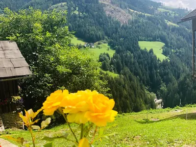 a yellow flower on a grassy hill with a valley at Flatscherhof in San Lorenzo di Sebato