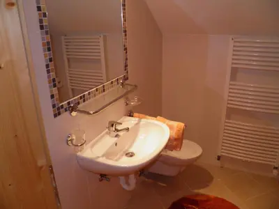 a bathroom with a sink and a toilet and a mirror at Flatscherhof in San Lorenzo di Sebato