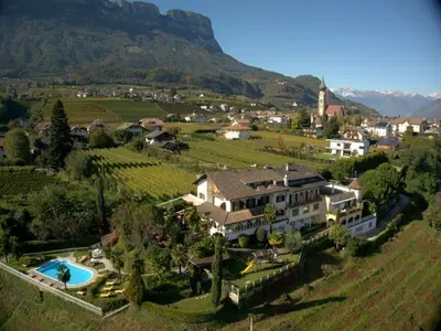 an aerial view of a house in a vineyard at Hotel Weinberg in Appiano sulla Strada del Vino