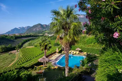 a resort with a pool and palm trees and a vineyard at Hotel Weinberg in Appiano sulla Strada del Vino