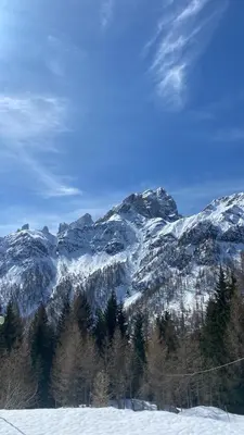 a snow covered mountain with trees in the foreground at IL COVO DELLO SCIATORE in Falcade
