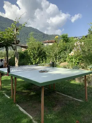 a green ping pong table in the grass at Garni & Residence Sonngart in Lagundo