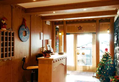 a kitchen with a christmas tree and a stove at Residence Adler in San Martino di Castrozza