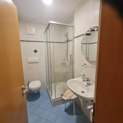 a bathroom with a shower and a sink and a toilet at Gasthof Traube in San Lorenzo di Sebato
