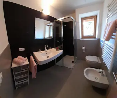 a bathroom with a sink and a toilet and a mirror at Apartments Annemarie in Ortisei