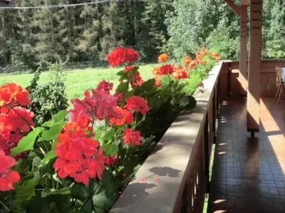 a row of red flowers in a garden at Burgblick in San Lorenzo di Sebato