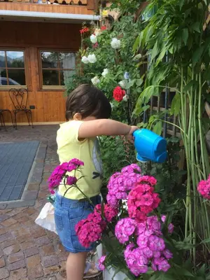 a little girl watering flowers in a garden at Hotel Garnì Salvanel in Cavalese