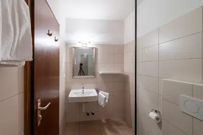 a bathroom with a sink and a mirror at Andreas Hofer in Schenna