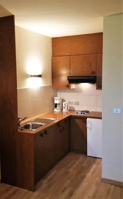 a kitchen with wooden cabinets and a sink at Andreas Hofer in Schenna