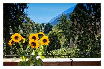 a bunch of yellow sunflowers in a vase on a fence at Apparthotel Taufenbrunn in Parcines
