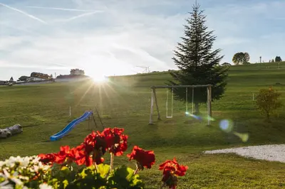 a park with a swing set and a tree at Residence Speckerhof in Maranza
