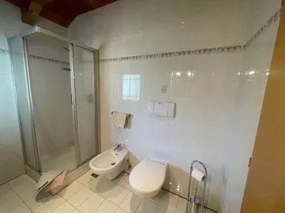 a bathroom with a toilet and a shower and a sink at Feldererhof in Postal
