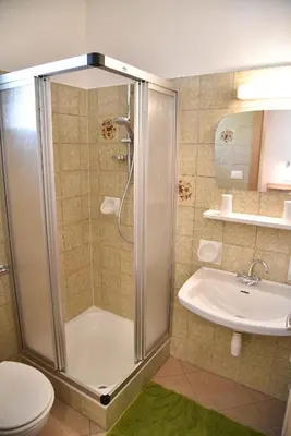 a bathroom with a shower and a toilet and a sink at Ferienwohnungen Burgwies in San Martino