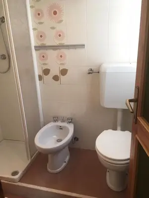 a bathroom with a toilet and a sink and a shower at Monolocale DORI in Alleghe