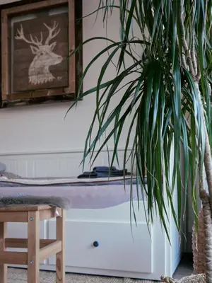 a table in front of a potted plant at Apartment Laura Brixen Vahrn in Varna