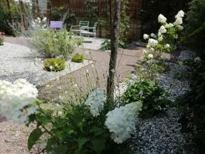 a garden with white flowers around a tree at Finesign 2 in Naturno