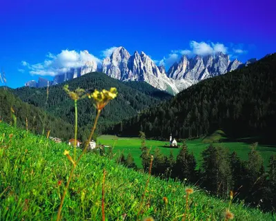 a green field with mountains in the background at Art Apartment Schatzer in Funes