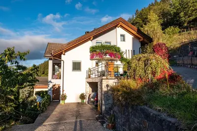 a white house with flowers in a driveway at Art Apartment Schatzer in Funes