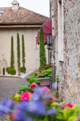 a bunch of flowers in front of a building at Schlosshotel Aehrental in Caldaro