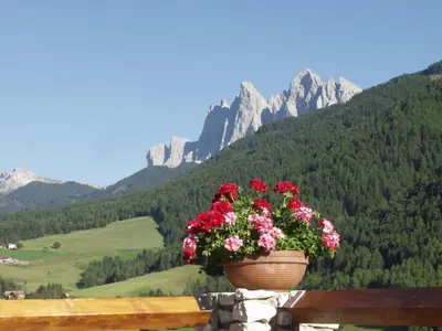 a pot of flowers sitting on a ledge with mountains at Jaiterhof in Funes
