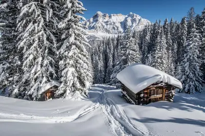 a cabin in a snowy forest with snow covered trees at Hotel Conturines in San Cassiano