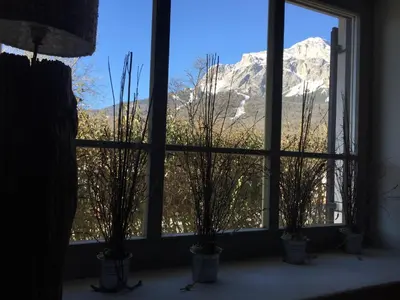 a window with three potted plants in front of a mountain at Casa Majon in Cortina dʼAmpezzo