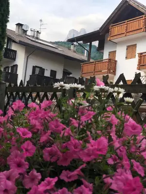 a bunch of pink flowers in front of a house at Villa Tisot in Siror