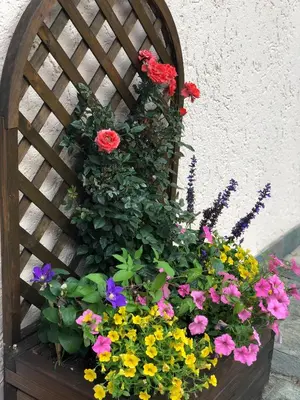 a bunch of colorful flowers in a wooden planter at Villa Tisot in Siror