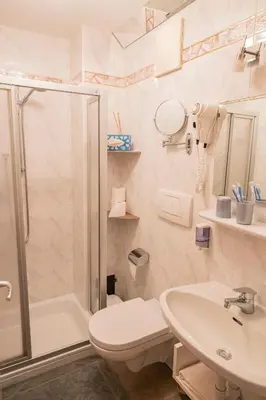a bathroom with a shower toilet and a sink at Garni Birkenau in San Martino
