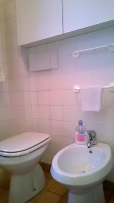 a bathroom with a white toilet and a sink at Freetime PinkAlps in Arabba