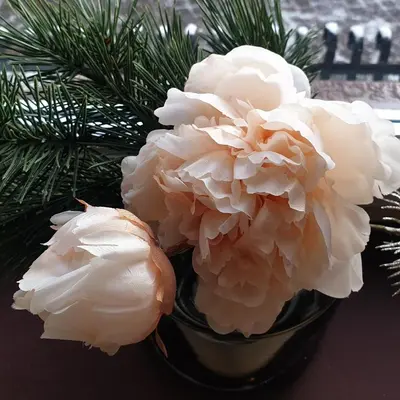 two white flowers in a black vase on a table at Garni Le Chalet in Santa Cristina in Val Gardena