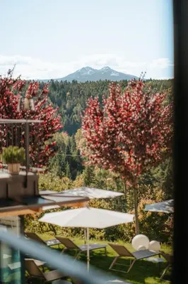 a view from the balcony of a resort with trees at Hotel am Hang in Soprabolzano