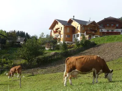 two cows grazing in a field in front of a house at Apartments Rit in La Valle