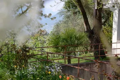 a view of a garden with flowers and plants at Hotel Tannerhof in Merano