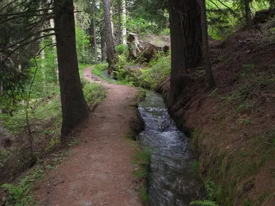 a dirt path through a forest with a stream at Mountain Village Hasenegg in Schenna