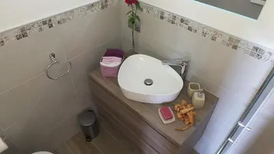 a bathroom with a white sink and a toilet at Mini Maule in Cavalese