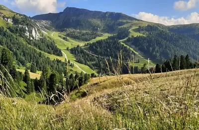 a view of a valley in the mountains at Appartamento Pampeago 10 in Tesero
