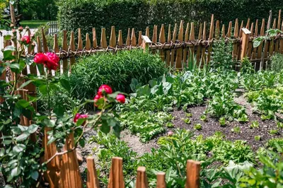 a garden with a wooden fence and red roses at Hörmannhof in Bressanone
