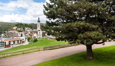 a tree sitting in a field next to a town at Apartments Sayonara in Castelrotto