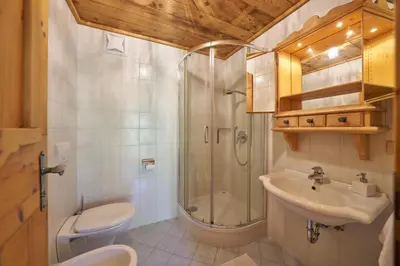 a bathroom with a shower and a sink and a toilet at Villa al Bosco in Selva di Val Gardena