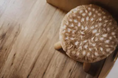 a brown chair sitting on top of a wooden floor at Töllhof Apartments and Farm in Naz-Sciaves