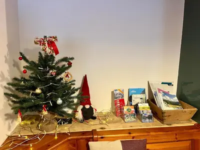 a christmas tree on top of a dresser at Appartamenti La Rocia in Rocca Pietore